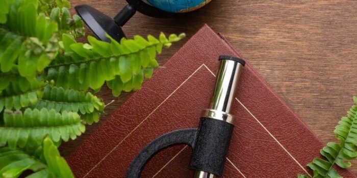 vue-dessus-plantes-microscope-livre_23-2148785103